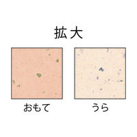 ヒサゴ プリンター用紙 サステナブルクラッポ カカオ A4 10枚入 SC01S 1ケース(5個(1個×5))（直送品）