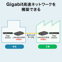 サンワサプライ  光メディアコンバータ（ギガビット対応・ブリッジ・マルチモード） LAN-EC212CB（直送品）