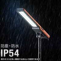 サンワサプライ  充電式 LED作業灯（高さ調整・折りたたみ収納可能） LED-FL2（直送品）