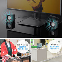 サンワサプライ  コンパクトPCスピーカー（USB電源） MM-SPL23UBK（直送品）