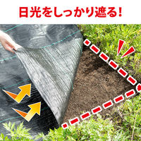 【園芸用品】カワタキコーポレーション 防草シート　1×10ｍ 696369 1個