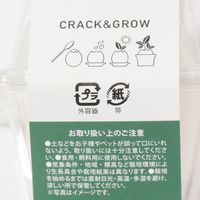 栽培キット　エッグリング クローバー LAKOLE/ラコレ