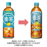 コカ・コーラ やかんの麦茶 FROM 爽健美茶 650ml 1セット（6本）（わけあり品）