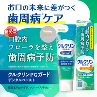 歯磨き粉 フッ素 クルクリン PGガード ペパーミント 90g 歯周病 虫歯 口臭 高濃度フッ素配合 薬用ハミガキ サラヤ