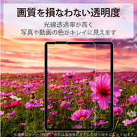 iPad mini 第6世代 ガラスフィルム ガイドフレーム付 指紋防止 TBWA21SFLGGJ エレコム 1個（わけあり品）