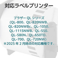 カラークリエーション 宛名ラベルプリンタ ブラザー DKー2205互換 長尺紙テープ大 TPC-BDK2205 1個（わけあり品）
