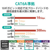 エレコム LANケーブル/CAT6A/スタンダード/2m/ブルー LD-GPA/BU2 1本（わけあり品）
