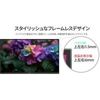 JAPANNEXT 31.5インチ ワイド 4K液晶モニター JNーV3152UHDRーG 1台