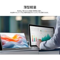 JAPANNEXT 12.2インチ ワイド モバイルモニター JNーMDーIPS122WX 1台