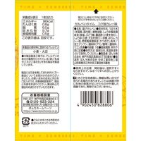 せんべい　個包装　お配り菓子 せんべいタイム　コク旨カレー味 1枚 1セット（1枚×20）