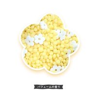 Dure’e Balle デュリボール 洗濯用香りのビーズ パフュームの香り 900mL 1個 香り付け専用剤 優ラボ