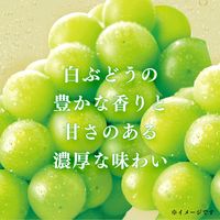伊藤園 やみつき白ぶどうソーダ 350ml 1セット（48缶）