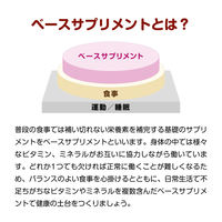 ネイチャーメイド マルチビタミン（100日分） 1個（100粒） 大塚製薬 サプリメント