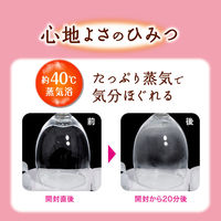 【旧品】めぐりズム 蒸気でホットアイマスク 完熟ゆずの香り 1箱（5枚入） 花王