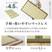 【軒先渡し】萩原 畳セミダブルベッド 幅1300×奥行2160×高さ125mm クラマ WB-7727SD-LBRクラマ 1台（直送品）