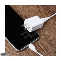 ビットストロング TypeーA・2A出力USB充電アダプター 50個入 BS-JAC2012-S50 1箱(50個) 65-3977-74（直送品）