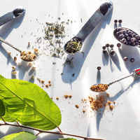 ジンソーダ 日の丸ジン蔵風土ジンソーダ 缶 355ml 1本