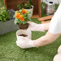 【使いきり手袋】 宇都宮製作 クイン ぴったり天然ゴム S NR0501PFーNB 1箱（100枚）