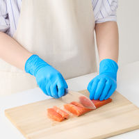 【使いきり手袋】 宇都宮製作 シンガー ニトリルFAB ブルー L NBR0453PFーBB 1セット（1箱(100枚)×5）