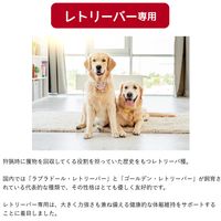ウェルケア レトリーバー専用 シニア 大粒タイプ 国産 6kg 1袋 イースター ドッグフード