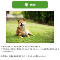 ウェルケア 柴専用 アダルト～シニア 中粒タイプ 国産 2.7kg（900g×3袋）1袋 イースター ドッグフード