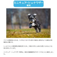 ウェルケア ミニチュア・シュナウザー専用 アダルト～シニア 中粒タイプ 国産 2.7kg（900g×3袋）1袋 イースター ドッグフード