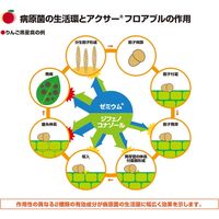 BASFジャパン BASF アクサーフロアブル 250ml BASF2056325 1本（直送品）