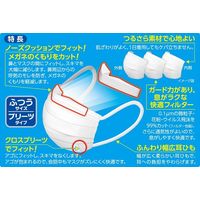 白元アース 快適ガードプロプリーツ ふつうサイズ 1袋（5枚入）