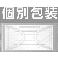 サカキL&Eワイズ 3層立体サージカルマスク 個包装　使い捨て　不織布　1箱（50枚入）日本製