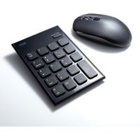 サンワサプライ 静音ワイヤレステンキーマウスセット NT-WL23SETBK 1個（直送品）