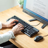 サンワサプライ 日本語109キーボード　抗菌防水防塵タイプ SKB-BS6BK 1個