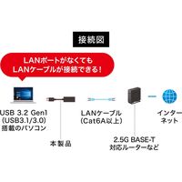 サンワサプライ USB3.2-LAN変換アダプタ(2.5Gbps対応) USB-CVLAN5BK 1個（直送品）
