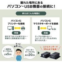 サンワサプライ USB2.0エクステンダー(2ポートハブ付き) USB-EXSET3 1個（直送品）