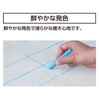 シンワ測定 工事用チョーク プラケース付 青 #74149 1セット(10本)