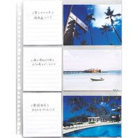 ライオン事務器 フォト(写真)ポケット A4 マチ付 30穴 PH-PT3 14735 1セット(15枚:5枚×3)