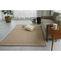 スミノエ コンシェルジュ エコロア100 防炎 ラグ ECR102 3500×4500mm ベージュ 1枚（直送品）