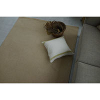 スミノエ コンシェルジュ エコロア100 防炎 ラグ ECR104 2500×2500mm ライトベージュ 1枚（直送品）