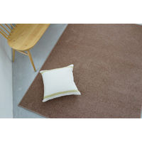 スミノエ コンシェルジュ エコロア100 防炎 ラグ ECR105 3500×4000mm ブラウン 1枚（直送品）