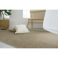 スミノエ コンシェルジュ エコロア100 防炎 ラグ ECR107 2000×2000mm チャコール 1枚（直送品）