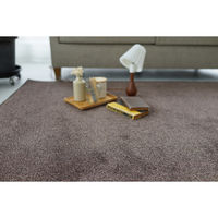 スミノエ コンシェルジュ エコロア100 防炎 ラグ ECR110 3500×4000mm ミックスブラウン 1枚（直送品）