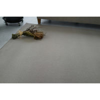 スミノエ コンシェルジュ LONGFORD 防炎 ラグ ロングフォード LGF2 3500×4500mm ライトグレー 1枚（直送品）