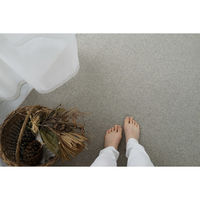 スミノエ コンシェルジュ ウールスコット プレーン 防炎 ラグ WS102 3000×3500mm ライトグレー 1枚（直送品）