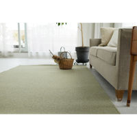 スミノエ コンシェルジュ ウールスコット プレーン 防炎 ラグ ウールスコット WS108 3500×5000mm グリーン 1枚（直送品）