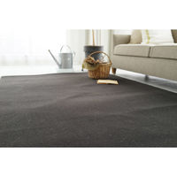 スミノエ コンシェルジュ WOOL REX 防炎 ラグ ウールレックス WR15 3000×3000mm チャコール 1枚（直送品）