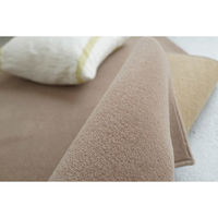 スミノエ コンシェルジュ WOOL REX 防炎 ラグ ウールレックス WR19 3500×5000mm カーキブラウン 1枚（直送品）