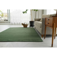 スミノエ コンシェルジュ WOOL REX 防炎 ラグ ウールレックス WR26 2500×3000mm ダークグリーン 1枚（直送品）