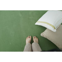 スミノエ コンシェルジュ WOOL REX 防炎 ラグ ウールレックス WR33 3000×3500mm イローグリーン 1枚（直送品）