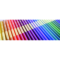 サンフォード カリスマカラー48色セット NP955 1個