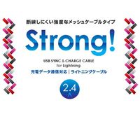 ナカバヤシ ライトニングワイヤーケーブル3.0m LNC-W30W 1個（直送品）