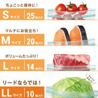 リード 冷凍も冷蔵も新鮮保存バッグ ダブルジッパー S 抗菌加工フィルム採用 25枚入 1セット（1個×6）ライオン